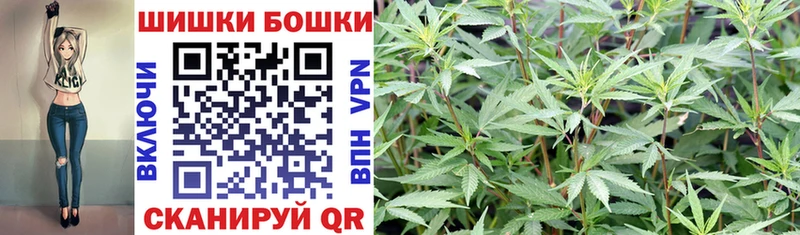 Бошки Шишки Лесосибирск