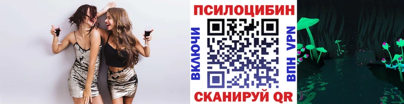 Псилоцибиновые грибы мухоморы  Купить закладки  Лесосибирск 