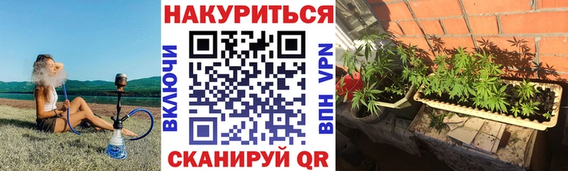 Купить  Лесосибирск  Бошки марихуана Ganja 